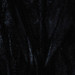 MIDNIGHTBLUE
