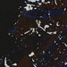BLUE/BLACK