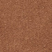 NOISETTE