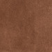 BISCUIT
