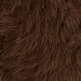 HAZELNUT BROWN